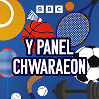 Y Panel Chwaraeon