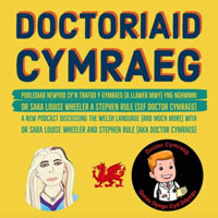Doctoriaid Cymraeg